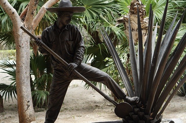 Free download Tulum Mexico Statue -  free photo or picture to be edited with GIMP online image editor