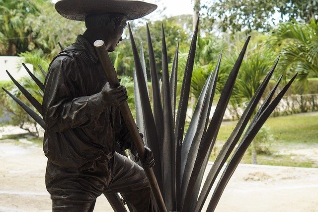 Scarica gratuitamente la statua di Tulum in Messico: foto o immagine gratuita da modificare con l'editor di immagini online GIMP