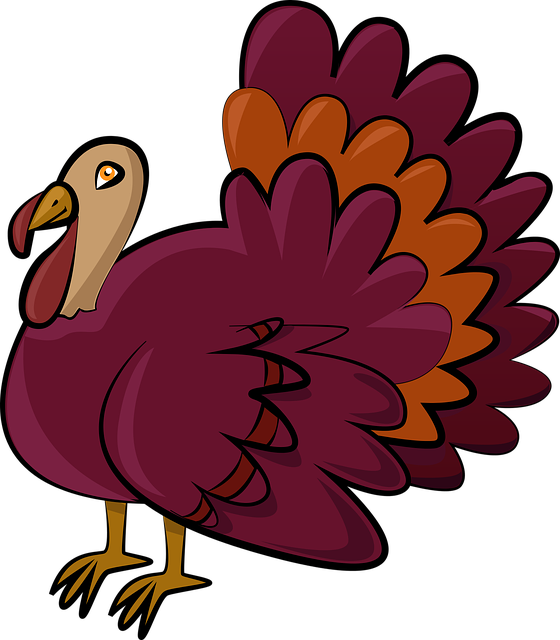 Free download Turkey Christmas - Free vector graphic on Pixabay free illustration to be edited with GIMP free online image editor