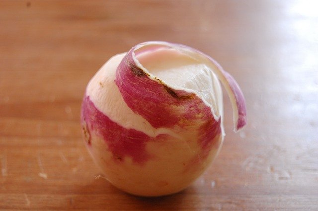 Free download Turnip Peeled Pink -  free photo or picture to be edited with GIMP online image editor