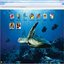 Free download Turtle -  free illustration to be edited with GIMP free online image editor