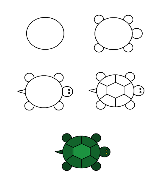 Free download Turtle Animal Green -  free illustration to be edited with GIMP free online image editor