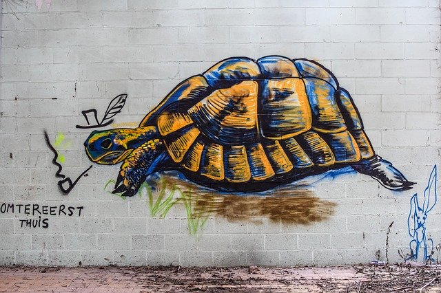 Free download Turtle Graffiti Mural -  free photo or picture to be edited with GIMP online image editor