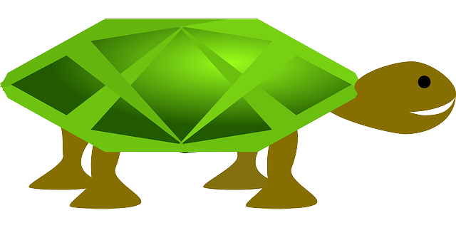 Libreng download Turtle Green Animal - Libreng vector graphic sa Pixabay libreng ilustrasyon na ie-edit gamit ang GIMP na libreng online na editor ng imahe