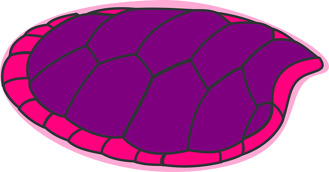 Free download Turtle Purple Pink - Free vector graphic on Pixabay free illustration to be edited with GIMP free online image editor