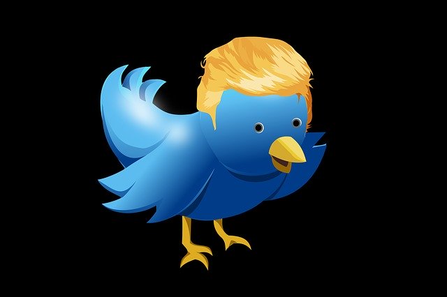 Free download Twitter Hairstyle Trump -  free illustration to be edited with GIMP free online image editor