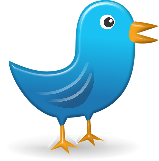 Free download Twitter Icon Web -  free illustration to be edited with GIMP free online image editor