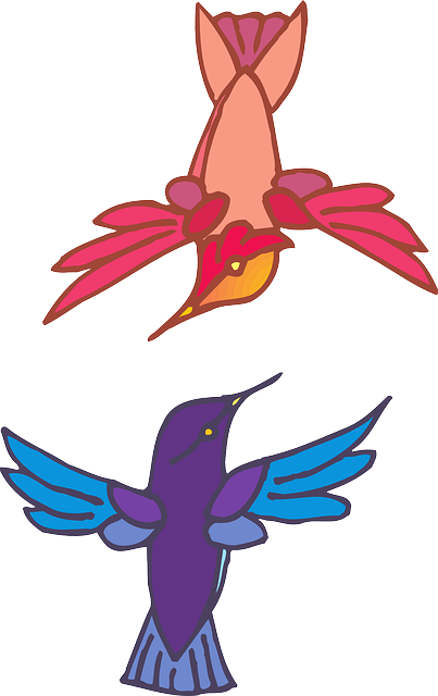 Free download Two Birds Flying - Free vector graphic on Pixabay free illustration to be edited with GIMP free online image editor