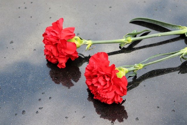 Free download Two Red Carnations Black Marble -  free photo or picture to be edited with GIMP online image editor