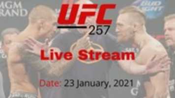 Free download UFC 257 Live Stream free photo or picture to be edited with GIMP online image editor