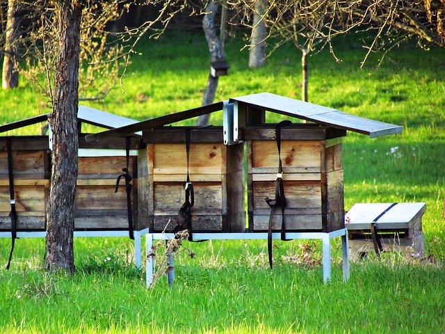 Free download ule beehive cottages field bee free picture to be edited with GIMP free online image editor