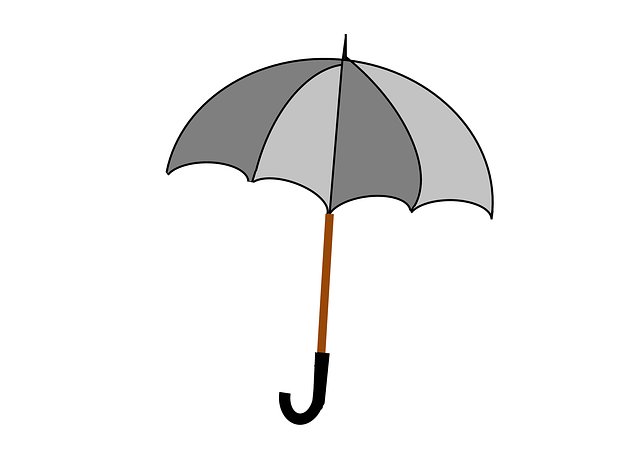 Free download Umbrella Rain Protection -  free illustration to be edited with GIMP free online image editor