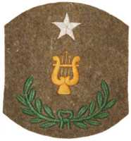 Free download United States Army Special 1920 Chevrons free photo or picture to be edited with GIMP online image editor