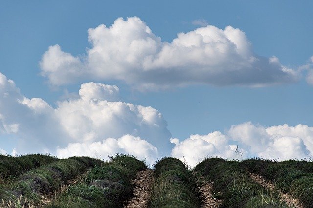 Free download Uphill Lavender Clouds Blue -  free photo or picture to be edited with GIMP online image editor