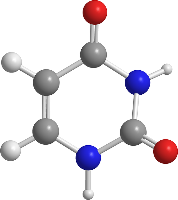 Free download Uracil Nitrogenous Bases Dna -  free illustration to be edited with GIMP free online image editor