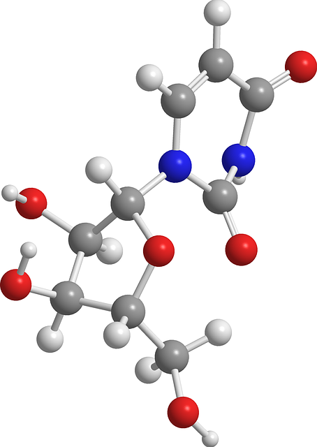 Free download Uridine Nucleic Acids Chemistry -  free illustration to be edited with GIMP free online image editor