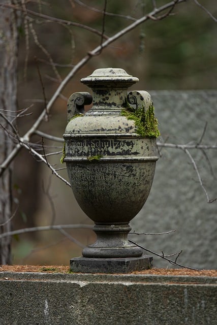 Free download urn graveyard vegetation moss tomb free picture to be edited with GIMP free online image editor