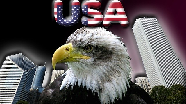 Free download Usa Bald Eagles America United -  free illustration to be edited with GIMP free online image editor