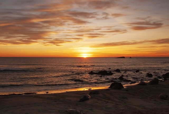 Free download u s california beach walrus sunset free picture to be edited with GIMP free online image editor