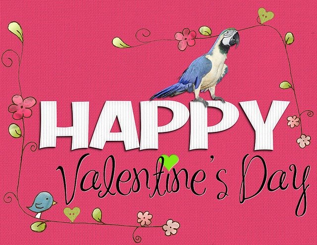 Free download Valentine Day Happy ValentineS -  free illustration to be edited with GIMP free online image editor