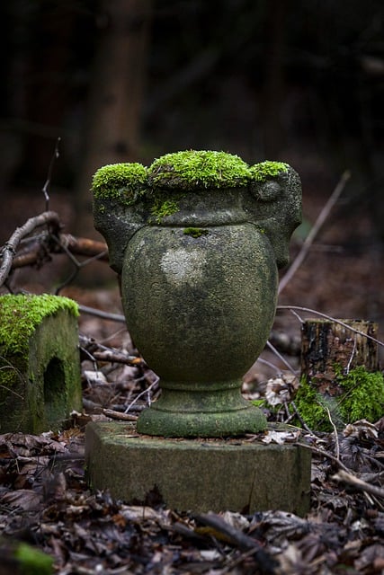 Free download vase urn moss graveyard vegetation free picture to be edited with GIMP free online image editor