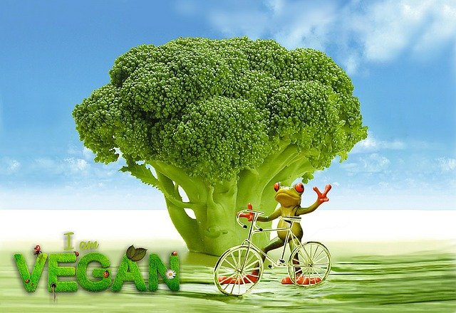 Free download vegan appetite broccoli frog free picture to be edited with GIMP free online image editor