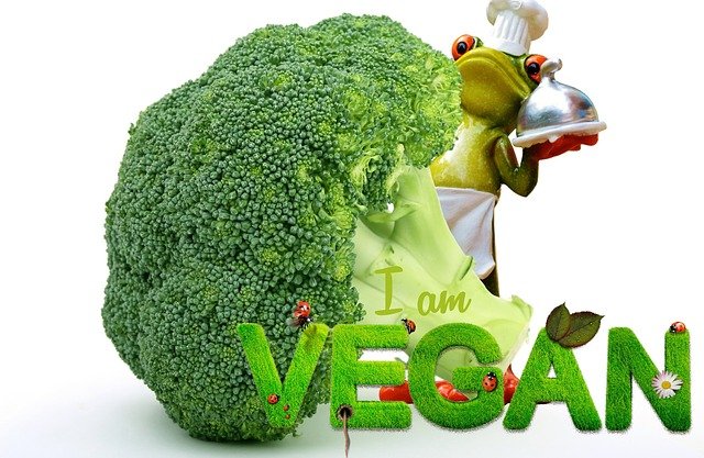 Free download vegan appetite broccoli frog cook free picture to be edited with GIMP free online image editor