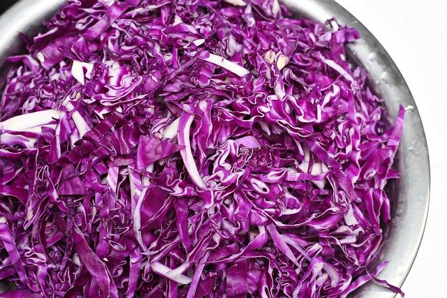 Free download vegetable cabbage purple cabbage free picture to be edited with GIMP free online image editor