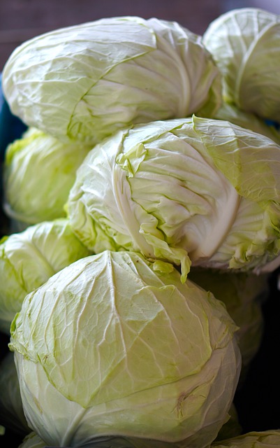 Free download vegetable cabbages food free picture to be edited with GIMP free online image editor