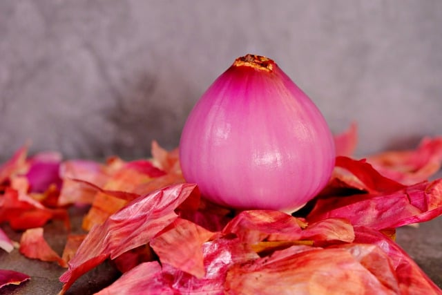 Free download vegetable hd wallpaper red onion free picture to be edited with GIMP free online image editor