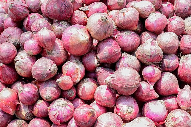 Free download vegetable onion organic food free picture to be edited with GIMP free online image editor