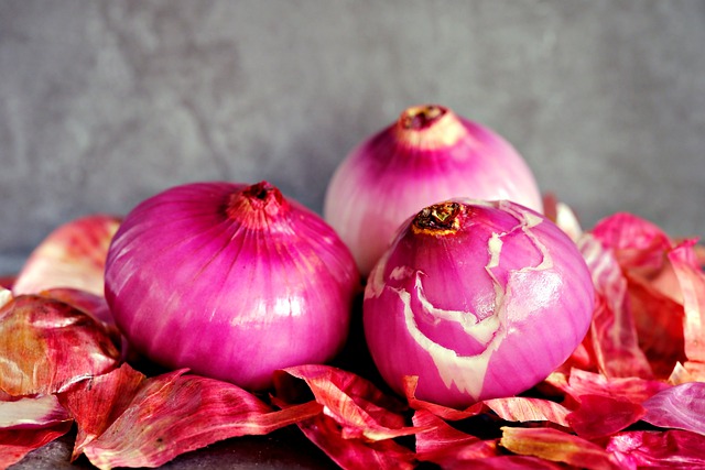 Free download vegetable red onion flavor free picture to be edited with GIMP free online image editor