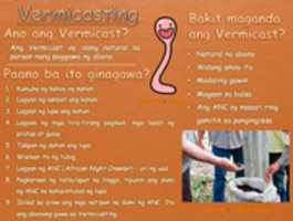 Free download Vermicasting free photo or picture to be edited with GIMP online image editor