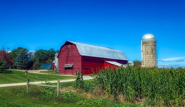 Free download Vermont Corn Cornfield -  free photo or picture to be edited with GIMP online image editor