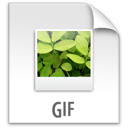 Video to GIF Animation Converter  screen for extension Chrome web store in OffiDocs Chromium