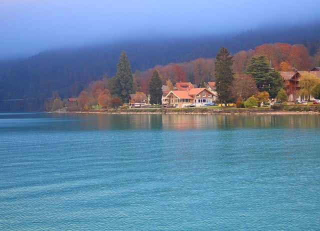 Free download village fog trees lake thun water free picture to be edited with GIMP free online image editor