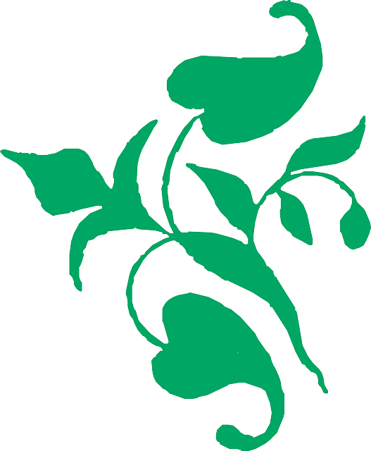 Free download Vine Decoration Green - Free vector graphic on Pixabay free illustration to be edited with GIMP free online image editor