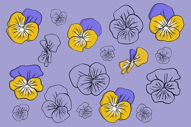 Free download Violas Purple Violet -  free illustration to be edited with GIMP free online image editor