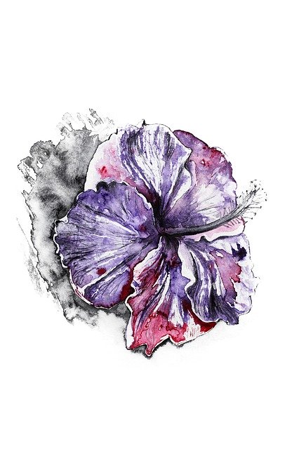 Free download Violet Flower Purple -  free illustration to be edited with GIMP free online image editor