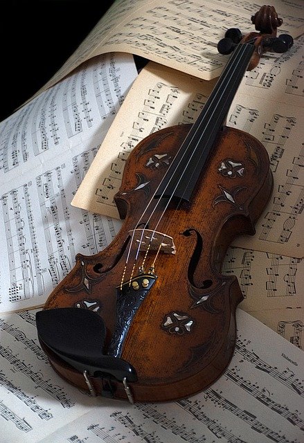 Free download violin stringed bowed instrument free picture to be edited with GIMP free online image editor