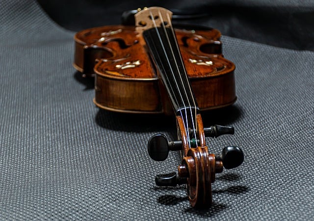 Free download violin stringed musical instrument free picture to be edited with GIMP free online image editor