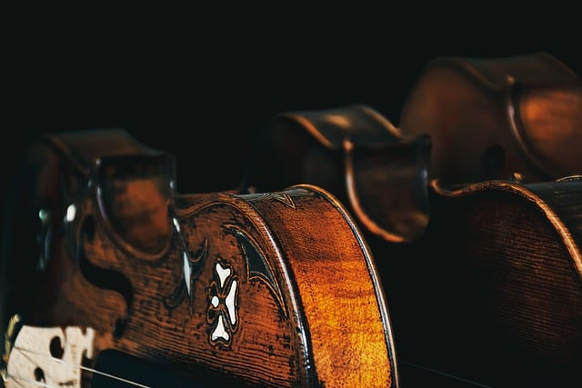 Free download violins trio music free picture to be edited with GIMP free online image editor