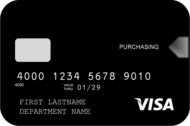 Free download Visa Credit Card Wallet -  free illustration to be edited with GIMP free online image editor