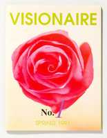 Free download VISIONAIRE 1 SPRING free photo or picture to be edited with GIMP online image editor