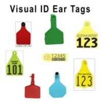 Free download Visual ID Tags free photo or picture to be edited with GIMP online image editor