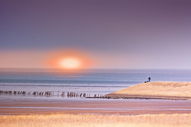 Free download wadden sea dyke people posts free picture to be edited with GIMP free online image editor