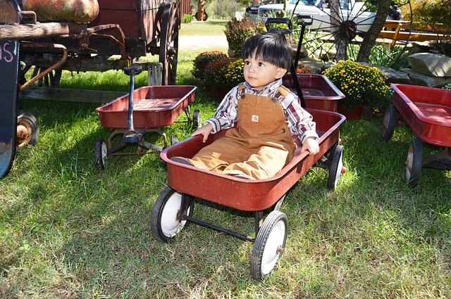 Free download Wagon Kid Happy -  free photo or picture to be edited with GIMP online image editor