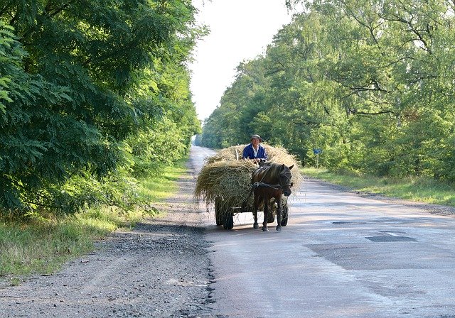 Free download Wagon Road Hay -  free photo or picture to be edited with GIMP online image editor