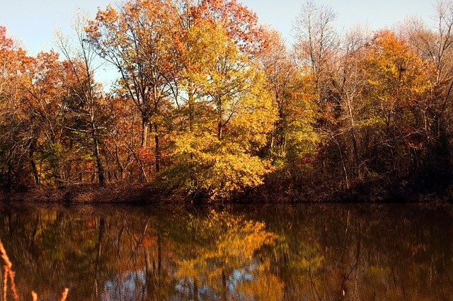 Free download Waldon Pond Autumn Color Leaves -  free photo or picture to be edited with GIMP online image editor