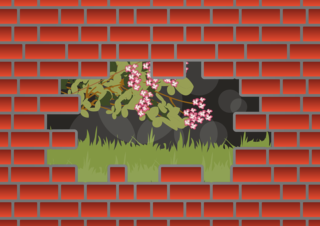 Free download Wall Hole Nature - Free vector graphic on Pixabay free illustration to be edited with GIMP free online image editor
